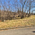 A rural landscape behind a pavement in a sunny winter day